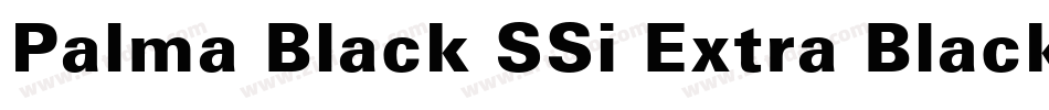 Palma Black SSi Extra Black字体转换